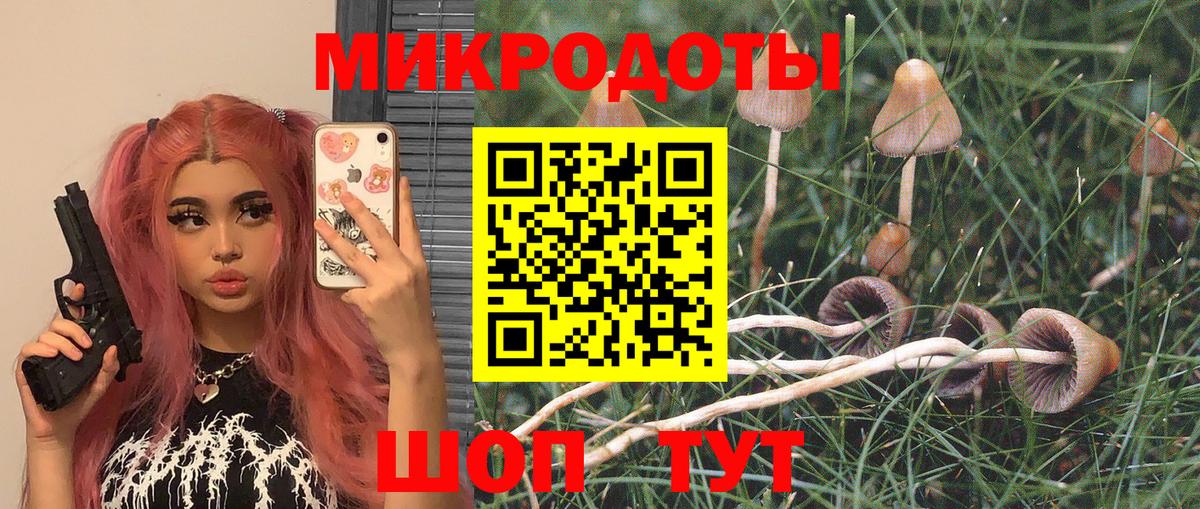 даркнет сайт  Вход с VPN  Великий Устюг  Галлюциногенные грибы мухоморы 